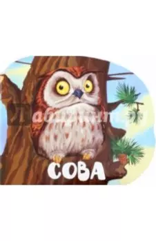 Сова