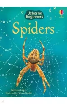Spiders