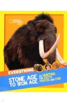 Stone Age to Iron Age