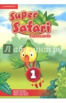 Super Safari. Level 1. Flashcards, 40