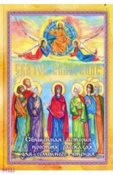 Святое Евангелие. Священная история в простых рассказах для семейного чтения