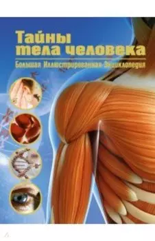 Тайны тела человека. Большая иллюстрированная энциклопедия