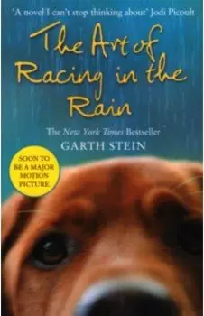 The Art of Racing in the Rain