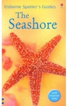 The Seashore