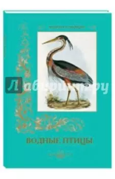Водные птицы