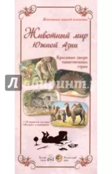 Животный мир Южной Азии. Красивые звери