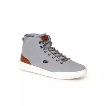 AMPTHILL TERRA 318 1
