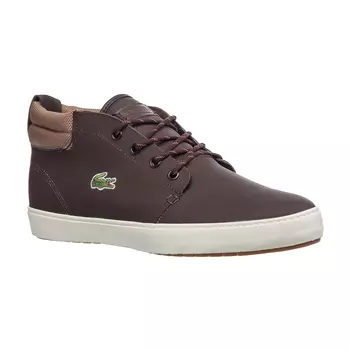 AMPTHILL TERRA 319 1 CMA