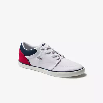 BAYLISS 220 1 CMA