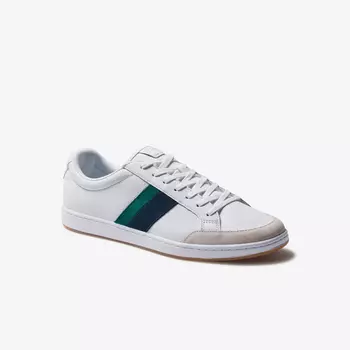 CARNABY ACE 120 8 SMA