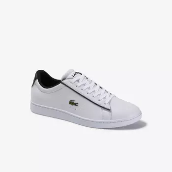 CARNABY EVO 120 2 SMA