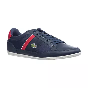 CHAYMON 319 3 CMA