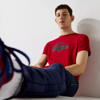 Мужская футболка Lacoste с принтом