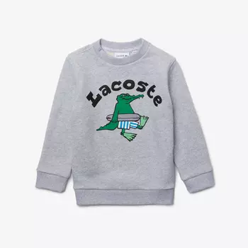 Толстовка Lacoste