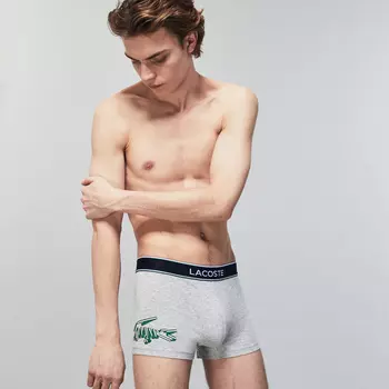 Нижнее белье Lacoste