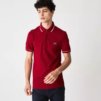 Поло Lacoste