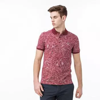 Поло Lacoste