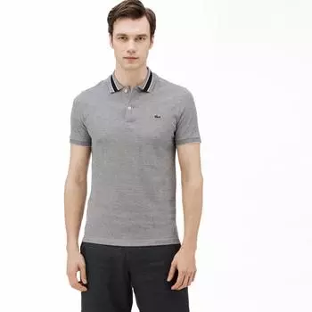 Поло Lacoste