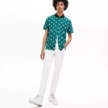 Поло Lacoste