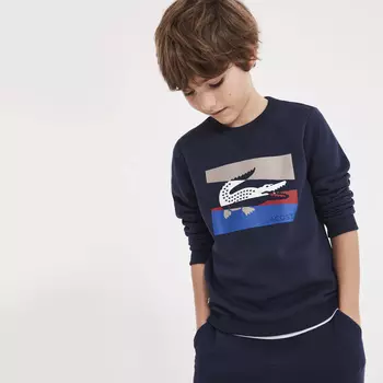 Толстовка Lacoste