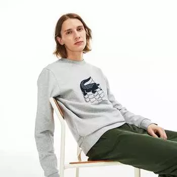 Толстовка Lacoste