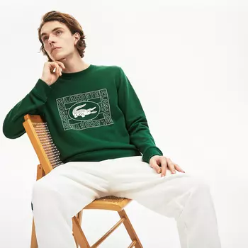 Толстовка Lacoste