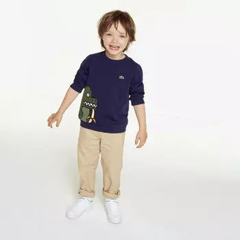 Толстовка Lacoste