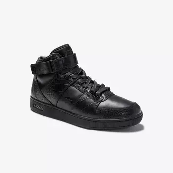TRAMLINE MID 0320 2 SMA