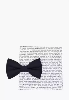Бабочка и платок Rainbowtie