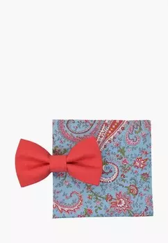 Бабочка и платок Rainbowtie
