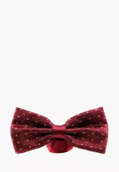 Бабочка Pierre Lauren