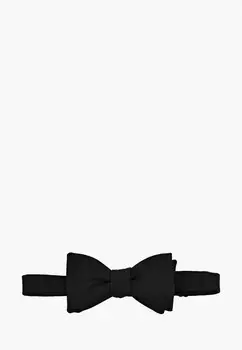 Бабочка Rainbowtie