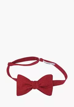 Бабочка Rainbowtie
