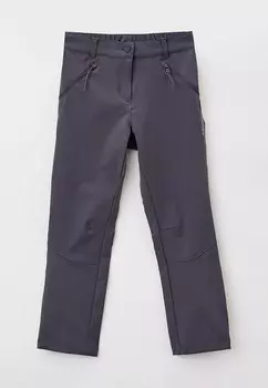 Брюки Icepeak