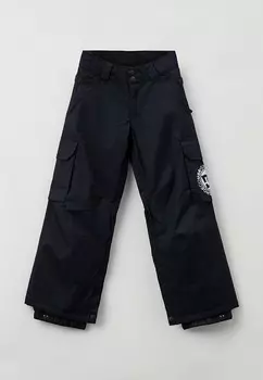Брюки сноубордические DC Shoes