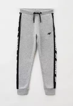 Брюки спортивные 4F