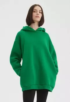 Худи Envylab
