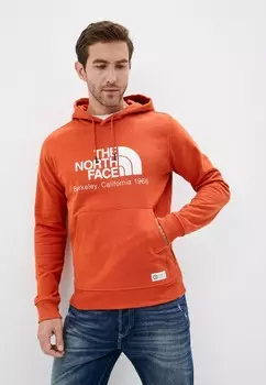 Худи The North Face