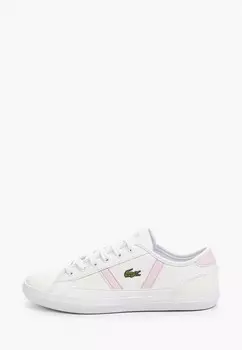 Кеды Lacoste