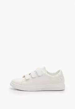 Кеды Shoesparad