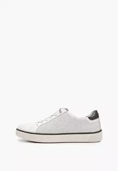 Кеды Tendance