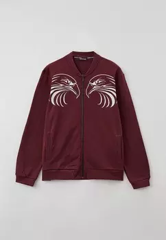 Олимпийка Roberto Cavalli Sport