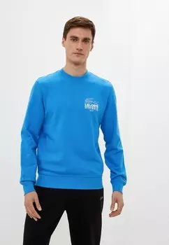 Свитшот Lacoste