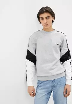 Свитшот Lacoste