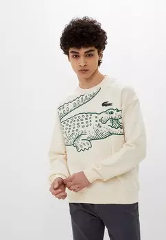 Свитшот Lacoste