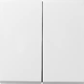 0125112 Двухклавишный выключатель с самовозвратом 10А/250В в сборе Белый Gira F100