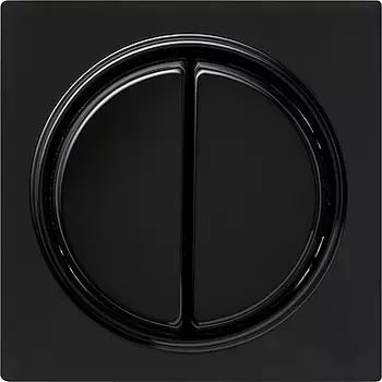 012547 Двухклавишный выключатель с самовозвратом 10А/250В в сборе Черный Gira S-color