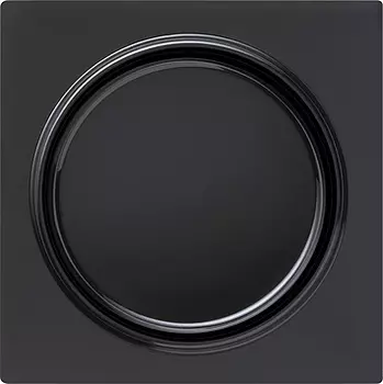 013047 Кнопочный выключатель / переключатель 10А/250В в сборе Черный Gira S-color