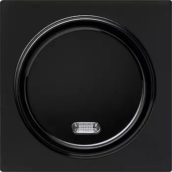 015347 Кнопочный выключатель для малого напряжения до 42 В с подсветкой Черный Gira S-color