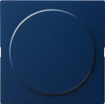 026846 Заглушка с опорной платой Синий Gira S-color